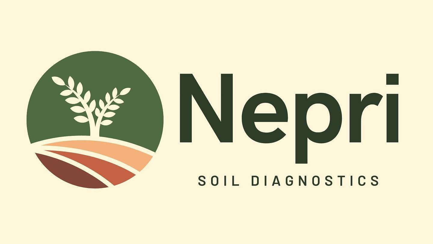 Nepri logo RISE 2023