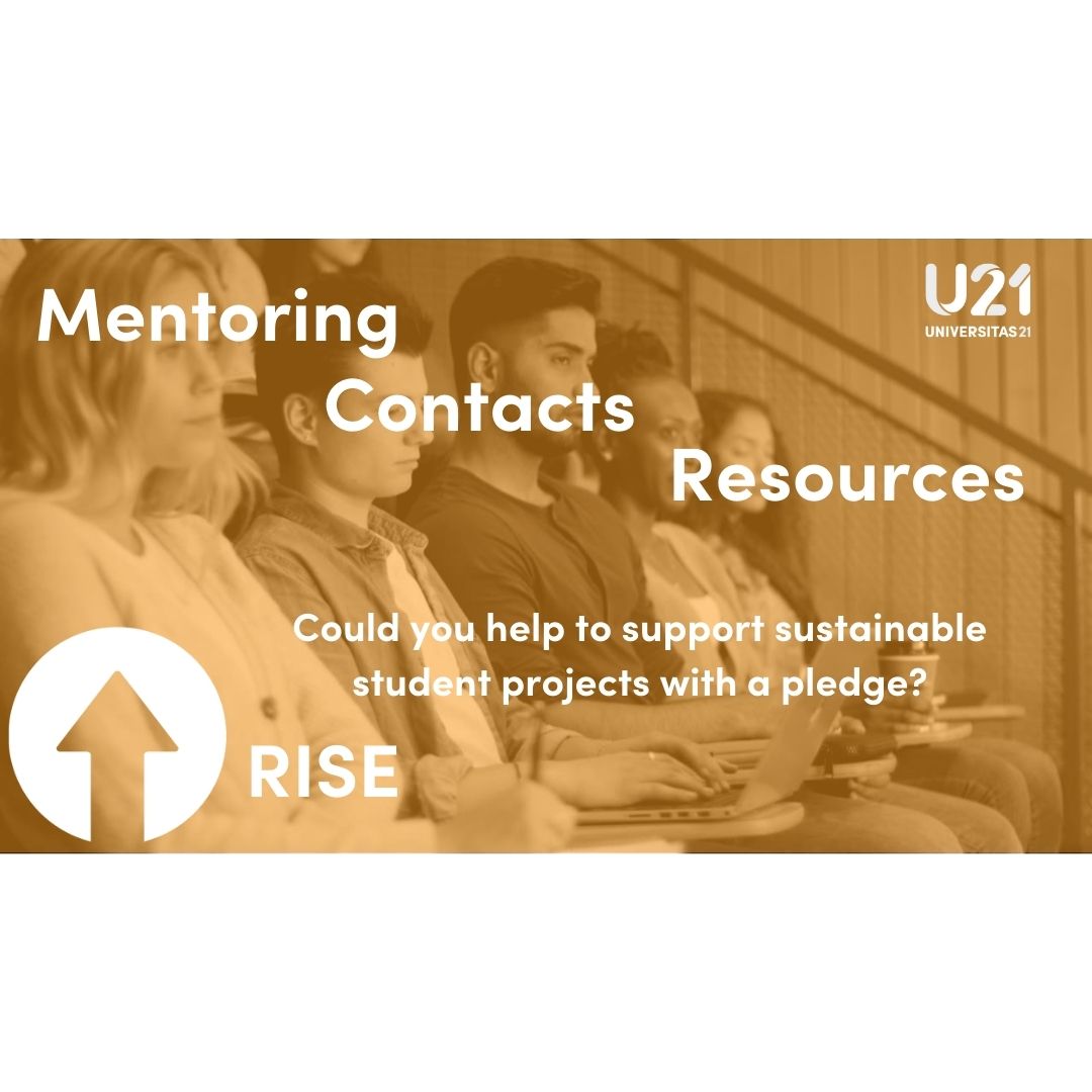 Please make a pledge of time, contacts or mentorship to RISE students