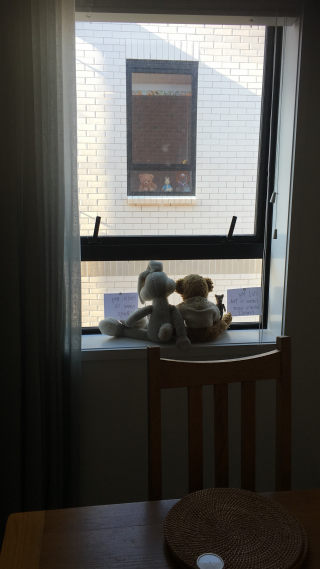 During lockdown in NZ, there was a big push to put teddy bears in windows so as to bring joy to children (and adults) out on walks. Here you see my window and my three year old neighbour's window. No one else can see our windows as we're on the third floor, thus I took it upon myself to engage in daily teddy communication to boost the resilience of the kid next door (plus my own).