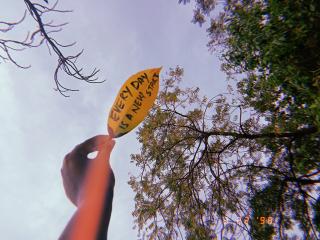 Leaf held to the sky with "Every day is a new start" written in black marker pen