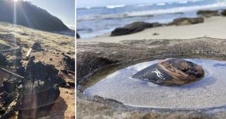 The image on the left is of a burnt remnant from the 2019/2020 Australian bushfires that drifted ashore in the storms and floods on the central coast toward the end of Black Summer. The image on the right is the same piece, ‘healed’ through my trauma-informed and somaesthetic designer-maker practices. The burl that has been reformed was the first example of ‘resilience’ that I have drawn upon as a symbol of natures’ resilience to trauma. A symbol of hope for us too.