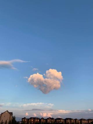 I saw this heart shaped cloud while taking a reflective stroll near my local park. My family and I had lost our dog Biggie after a surgery and this cloud reminded me his love was near. I felt mother nature standing in solidarity with me and planting a seed of resilience in me. I am grateful for this moment and wanted to share it with you.