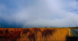A rainbow in Rotorua