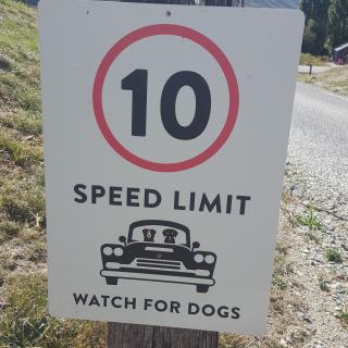 There are many street signs in New Zealand, which keep surprising me. Look, what I came across while cycling in Queenstown this month. This sign shows that it is not what you see, but how you see it that matters! Such a positive spin even in a simple message. I hope we all see more positive messages this year and "watch for dogs".