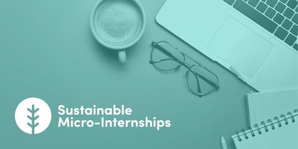 U21 Sustainable Micro Internships 2022 are open for applications