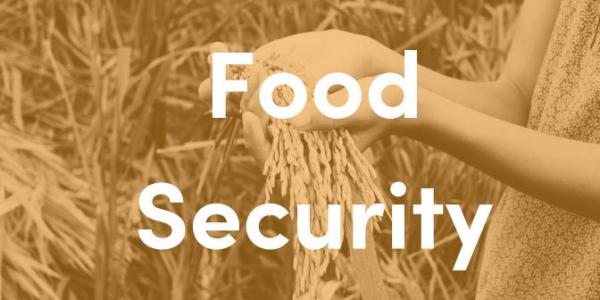 Register for ARUA - U21 ECR Funding Round 2023 Food Security Workshop