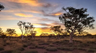 Australia landscape