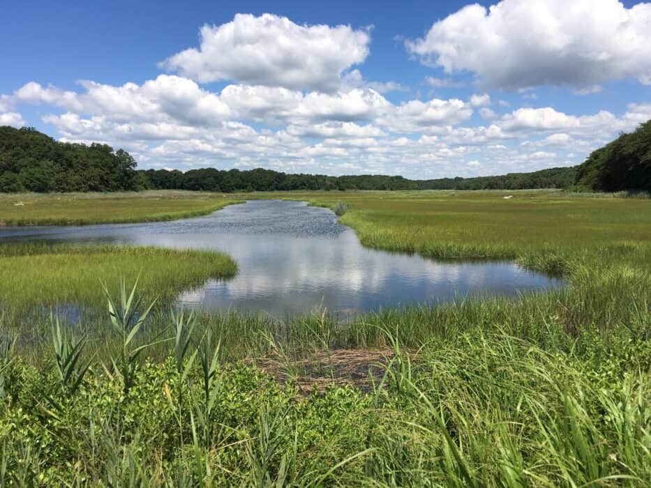 Salt Marsh image barn island high tide